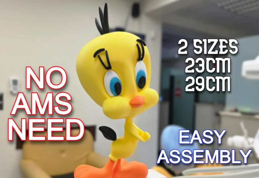 Tweety29CM125