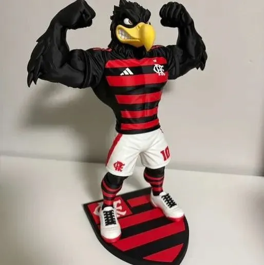 Urubu flamengo completo