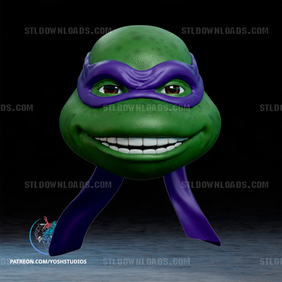 Donatello Helmet