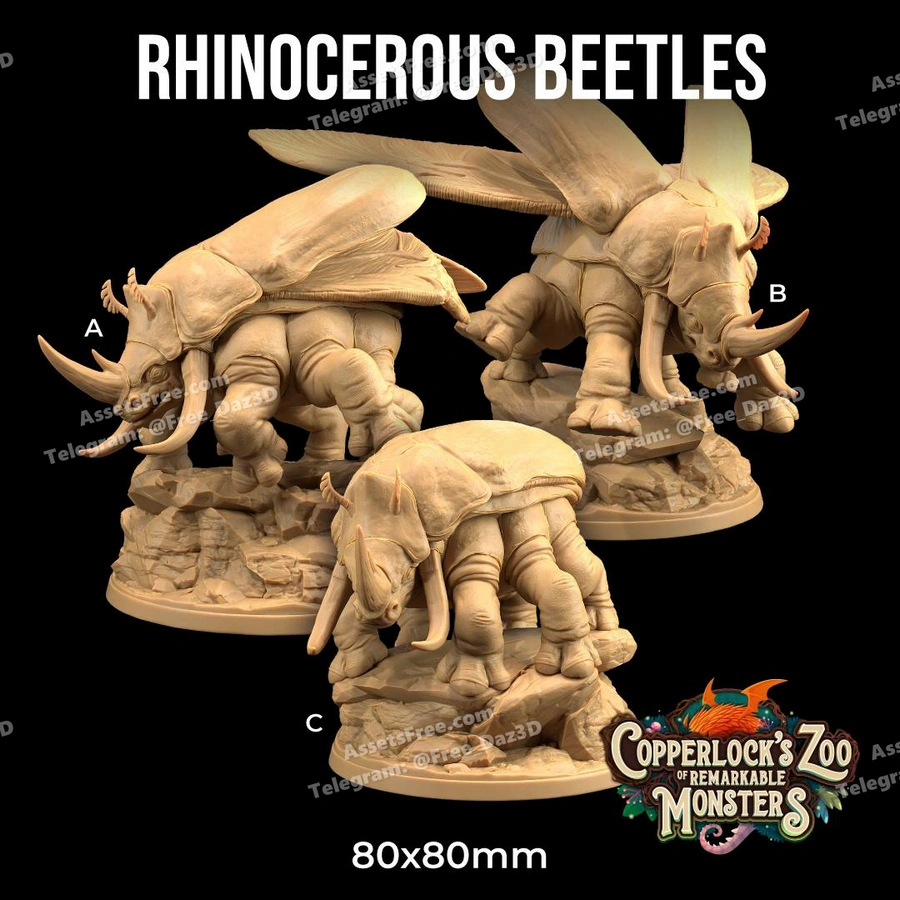 Rhinocerous beetles