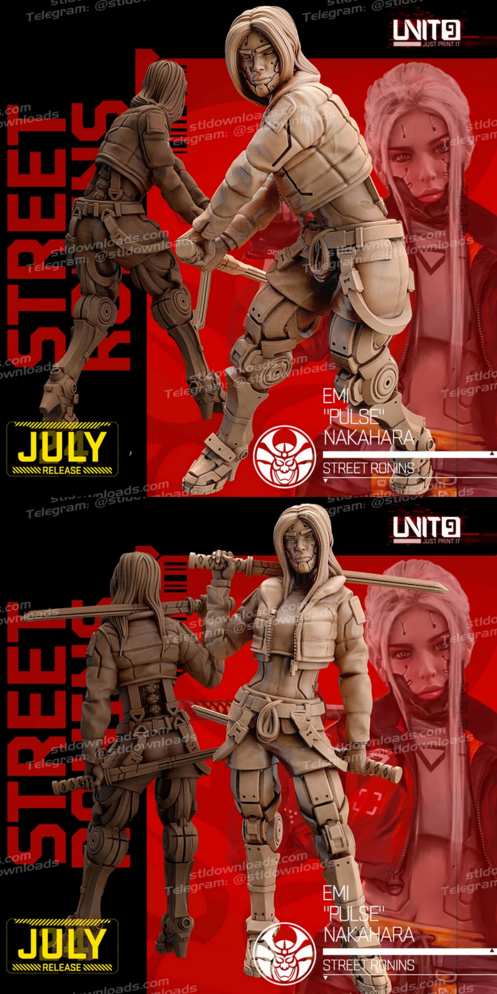 Cyberpunk Emi Pulse Nakahara Street Ronins 3D Print Model