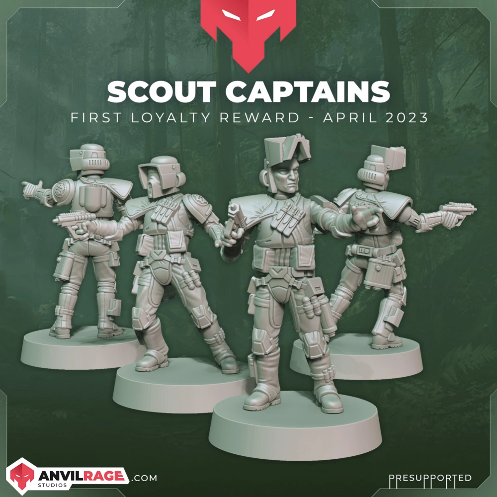 Scout Trooper Captains AR300