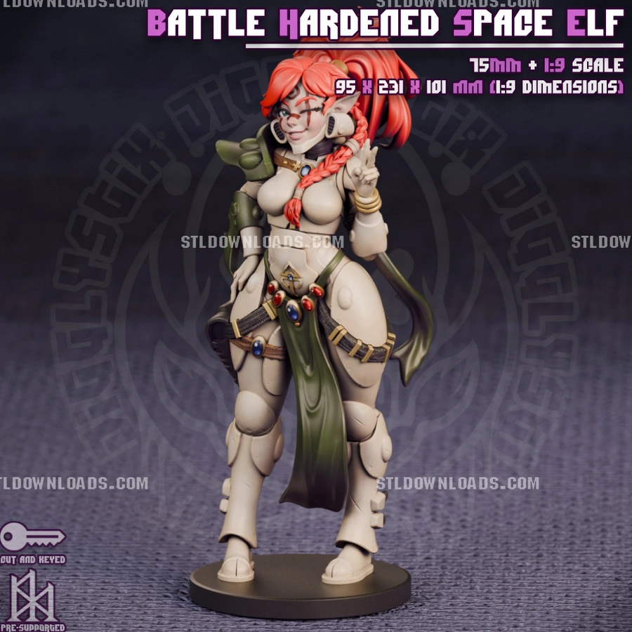 Battle Hardened Space Elf 3D printable STL model