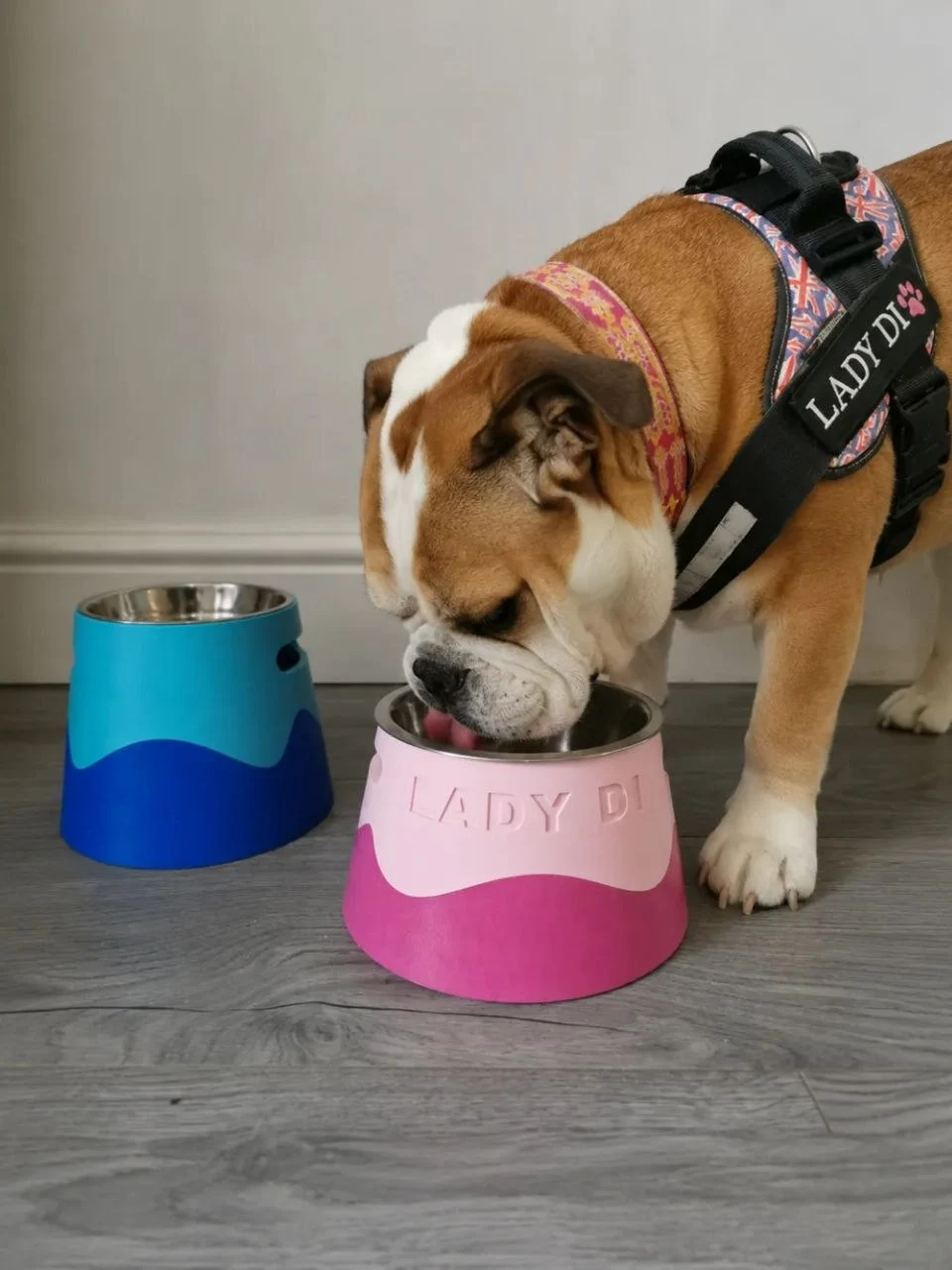 Parametric Pet Bowl STL render Parametric Pet Bowl 3D printable STL model