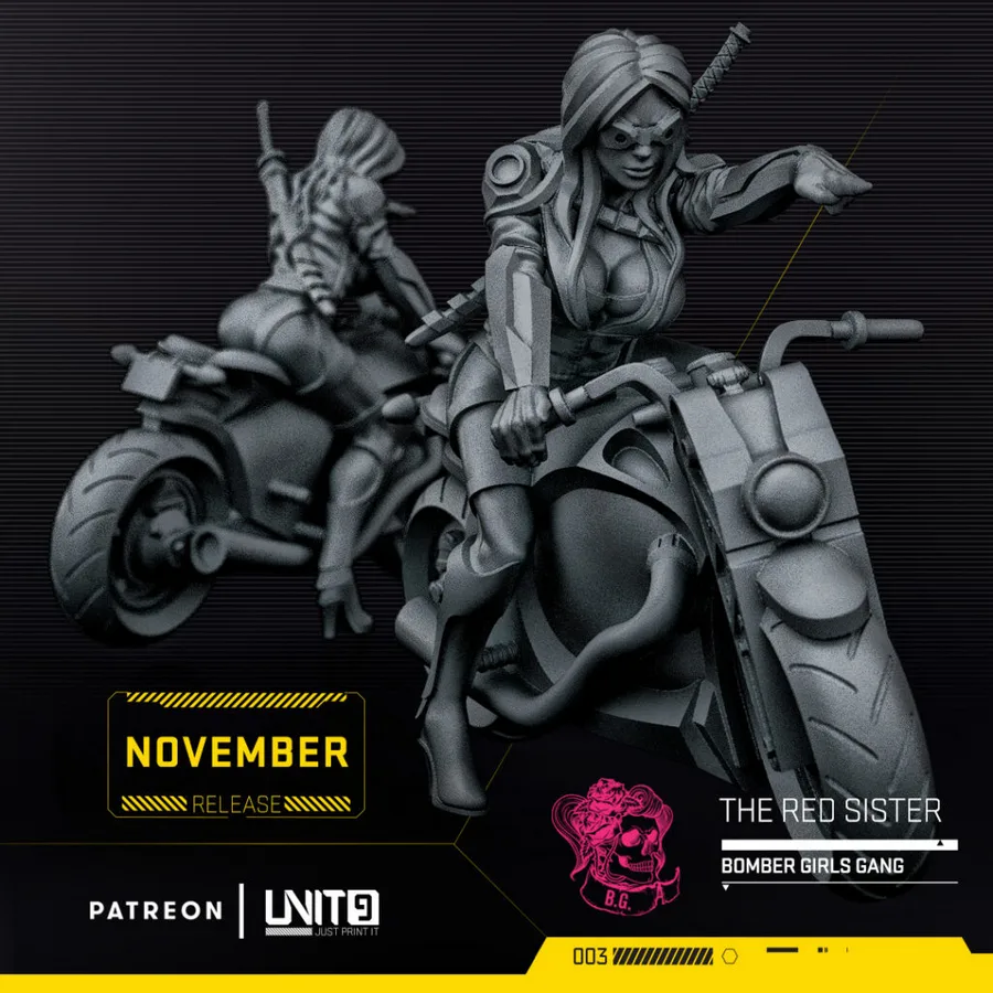 The Red Sister on Motorcycle 3D printable STL model