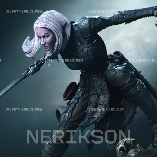 Lierin the Drow Fighter — Dungeons & Dragons / Fantasy 3D printable STL model