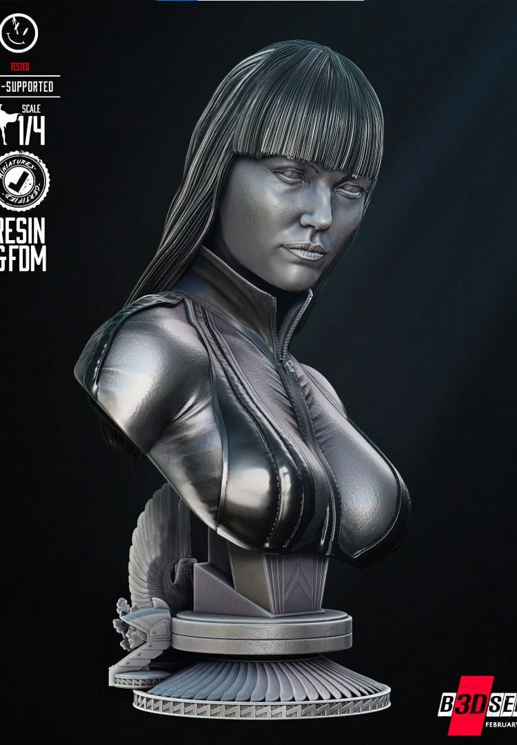 Silk Spectre Portrait Bust — Watchmen STL render Silk Spectre Portrait Bust — Watchmen 3D printable STL model