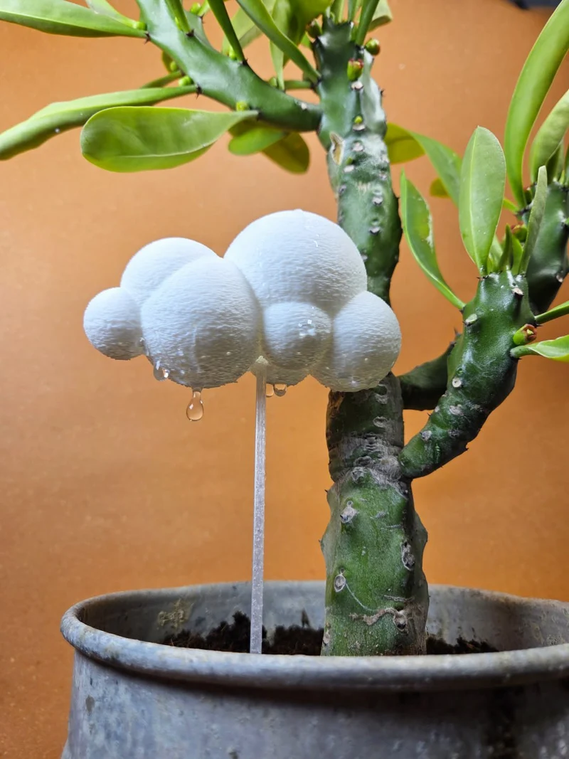 White cloud-like Cloudlet character model with rounded textured lobes